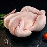 Poulet Blanc